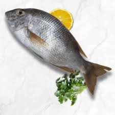 Kaboria Seafood